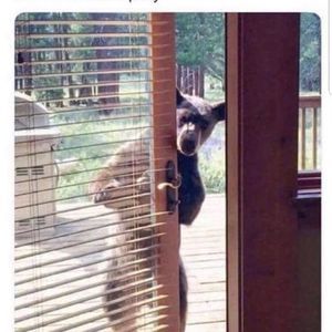 Meet your Posher, Anothony